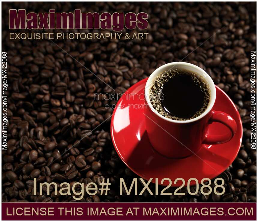 Cup of Coffe on Coffee Beans