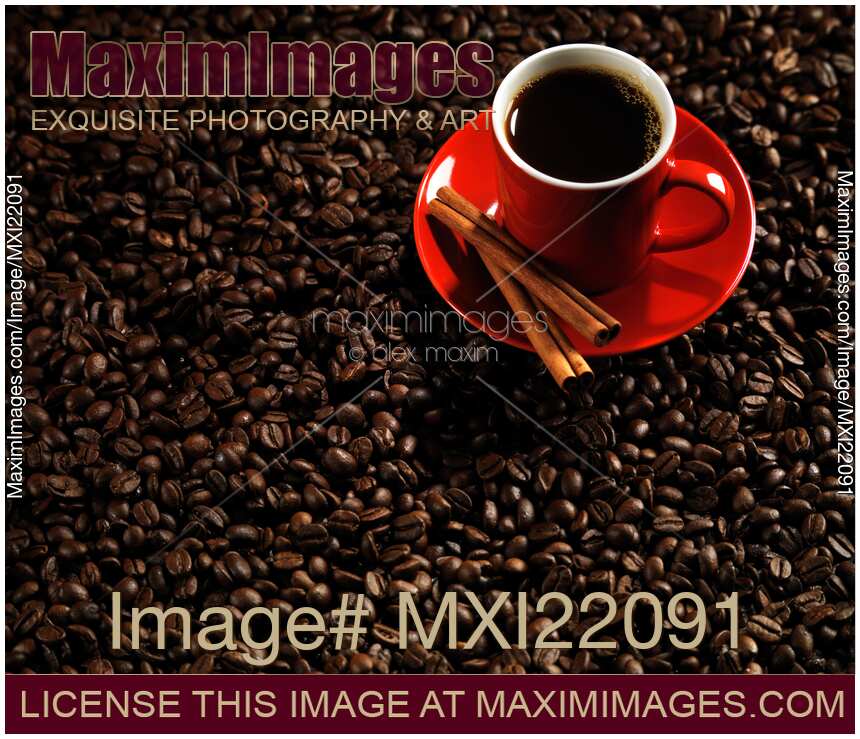 Cup of Coffe on Coffee Beans