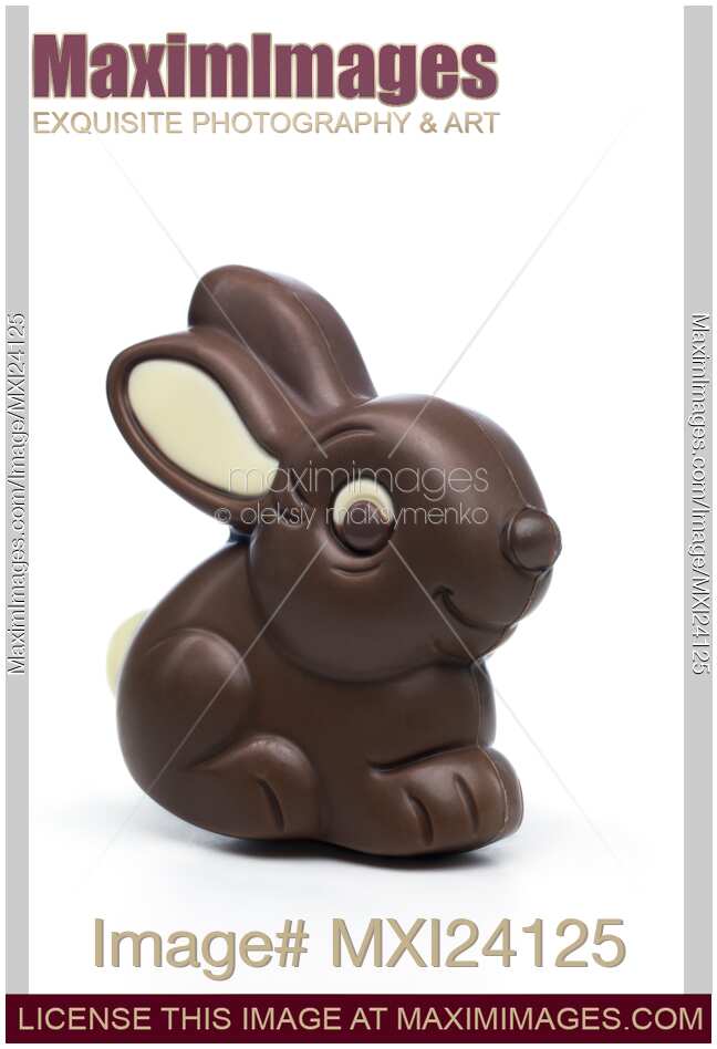Cute chocolate bunny