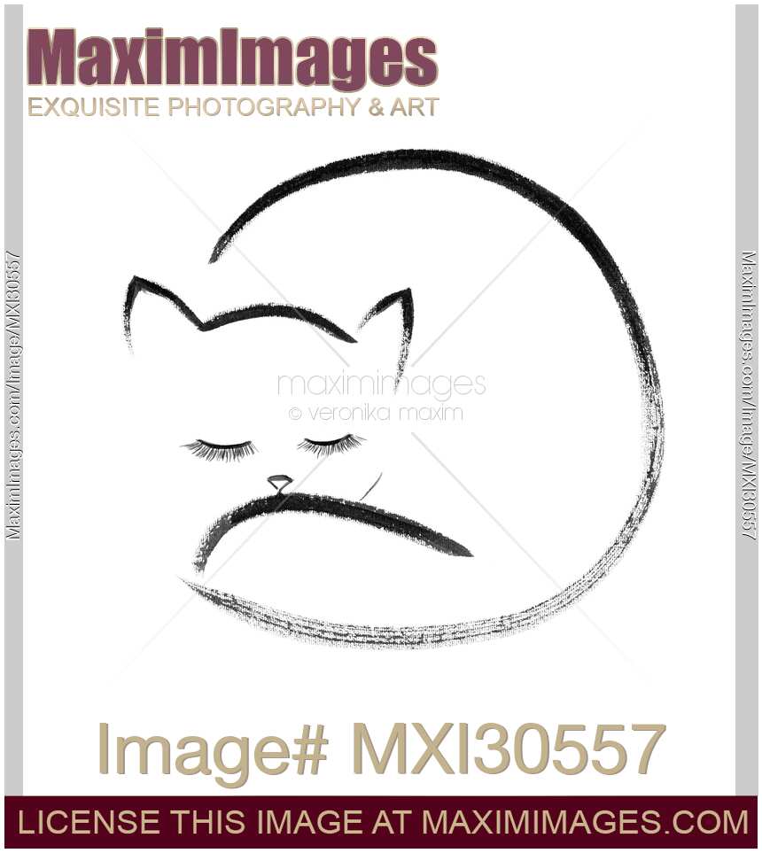 Cute cuddled up sleeping cat artistic Sumi-e painting based design isolated on white