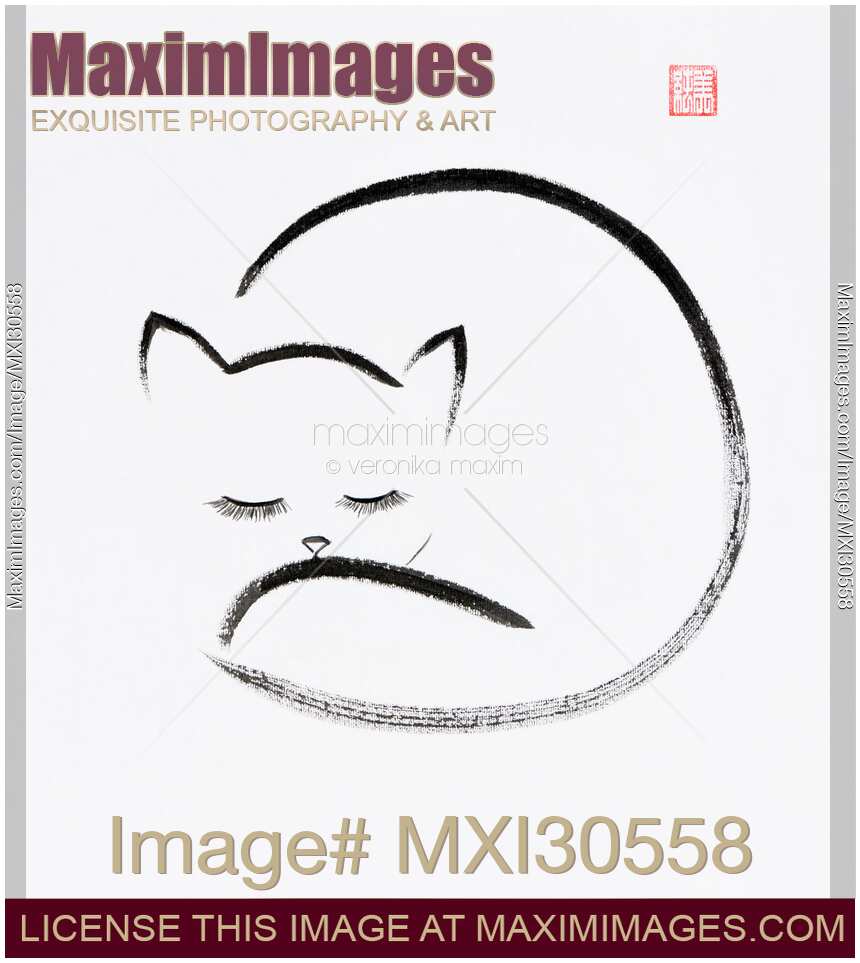 Cute cuddled up sleeping cat Japanese Zen Sumi-e painting on white rice paper