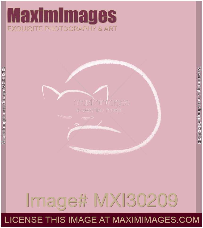 Cute curled-up sleeping kitty illustration on pink background