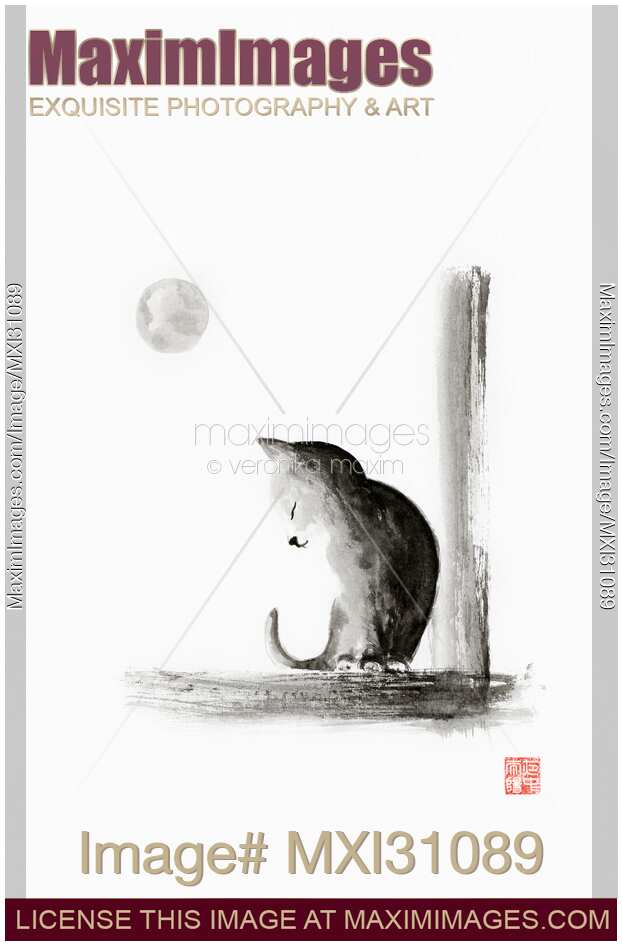 Cute little kitten sitting on the window in the light of the full moon