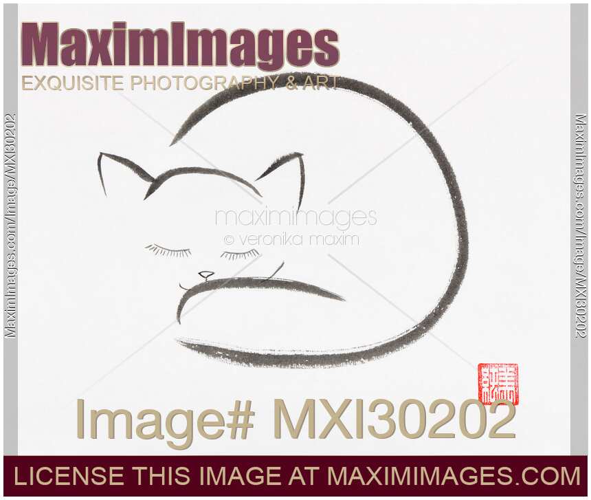 Cute sleeping cat Japanese Zen Sumi-e painting on white rice paper