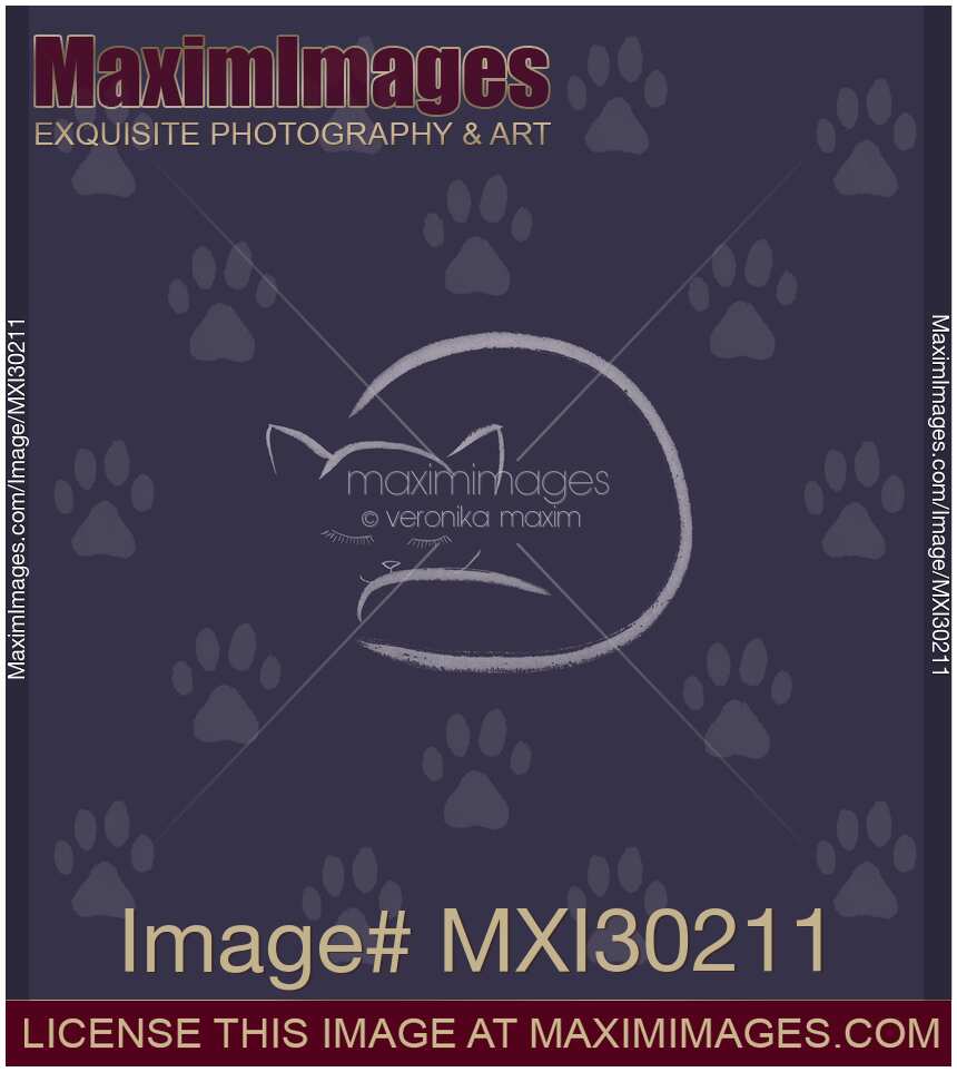 Cute sleeping kitten illustration with paw prints on purple blue background