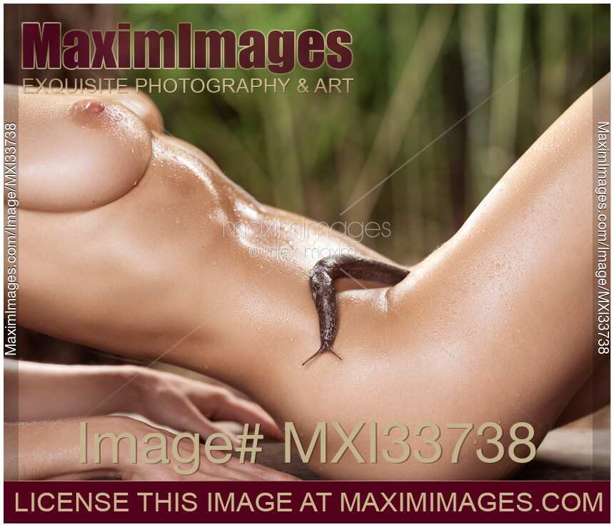 Cute slimy slug on beautiful sexy wet naked woman body