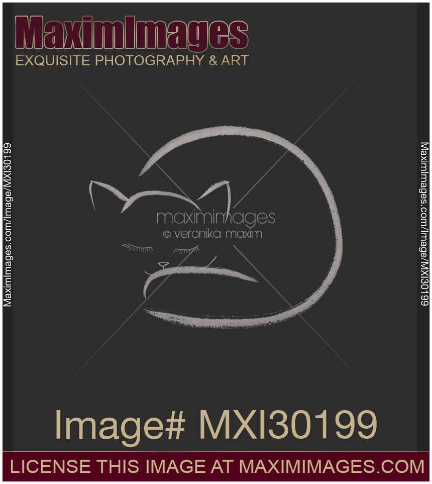 Cute snuggled sleeping cat art design on black background
