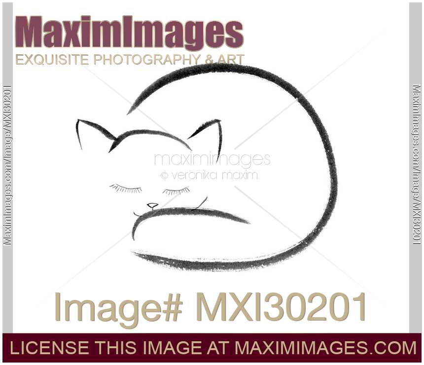 Cute snuggly sleeping cat illustration on white background