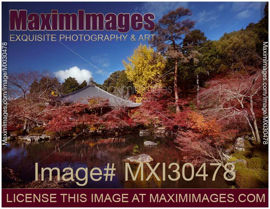 Daikodo hall with a pond at Daigo-ji temple in colorful autumn scenery Kyoto Japan