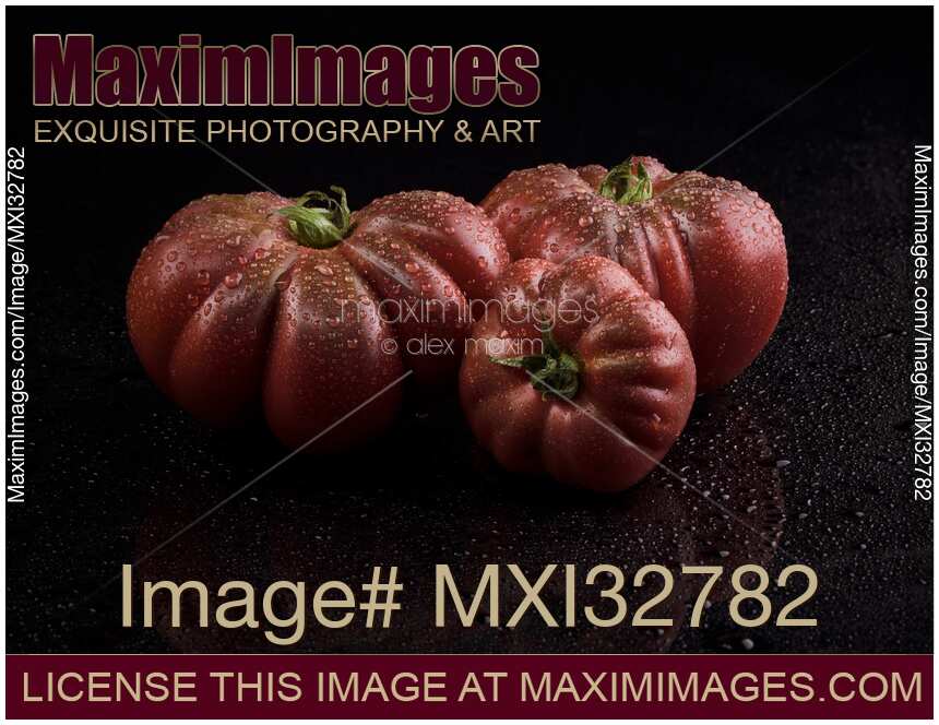 Dark red organic heirloom tomatoes Black Krim or Crimean Black with water droplets isolated on black