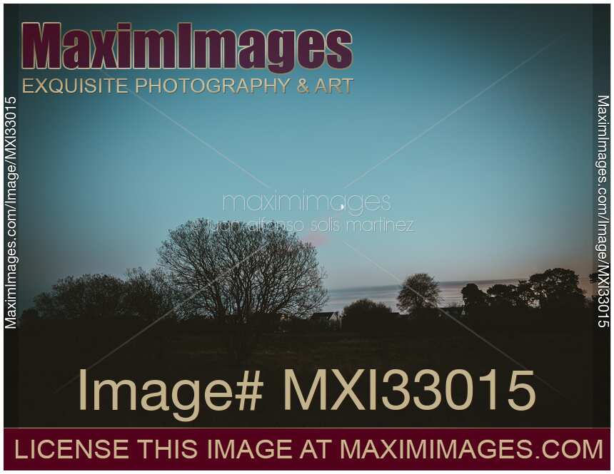 Dark silhouettes of residential houses and trees in dramatic nighttime town suburb skyline scenery