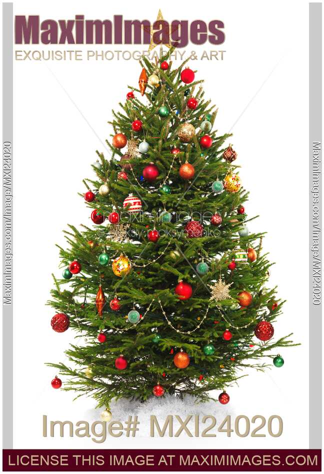 Decorated Christmas tree isoalted on white