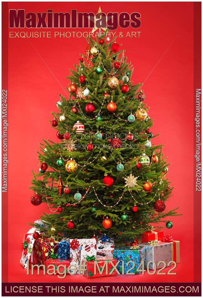 Decorated Christmas tree on red with presents under it