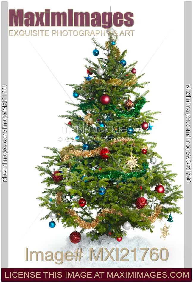 Decorated Christmas Tree