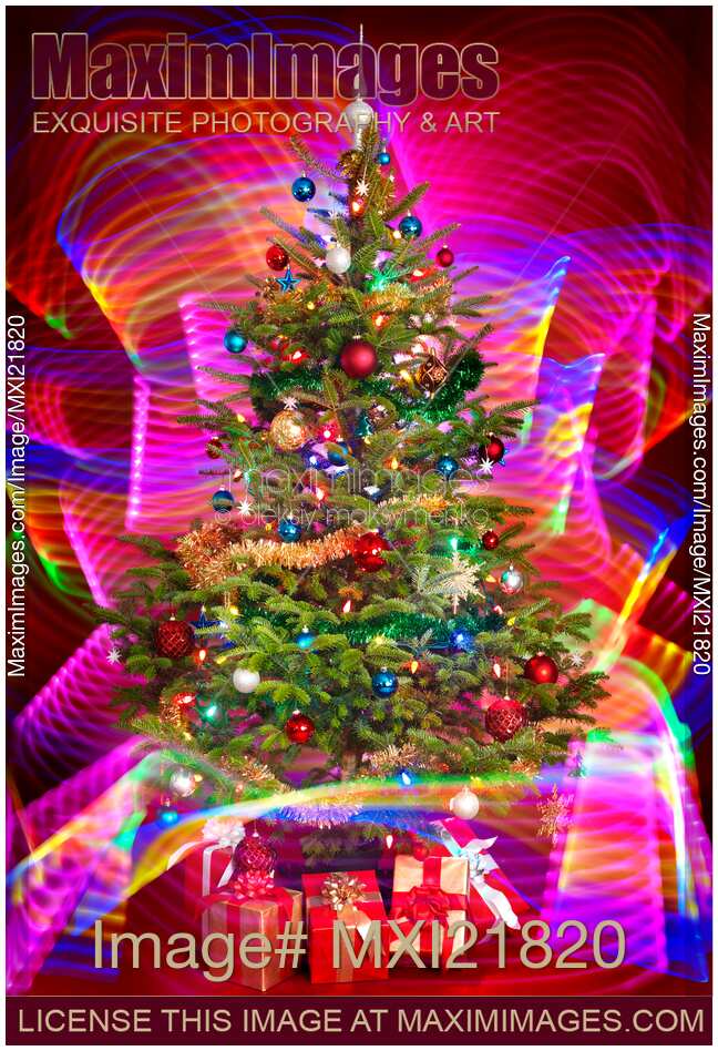 Decorated Christmas Tree