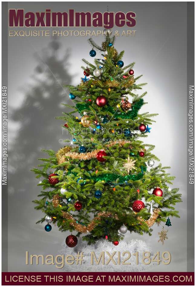 Decorated Christmas Tree