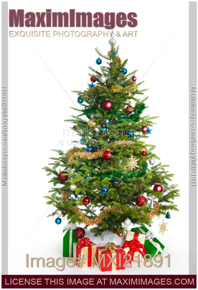 Decorated Christmas Tree