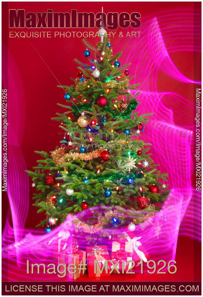 Decorated Christmas Tree