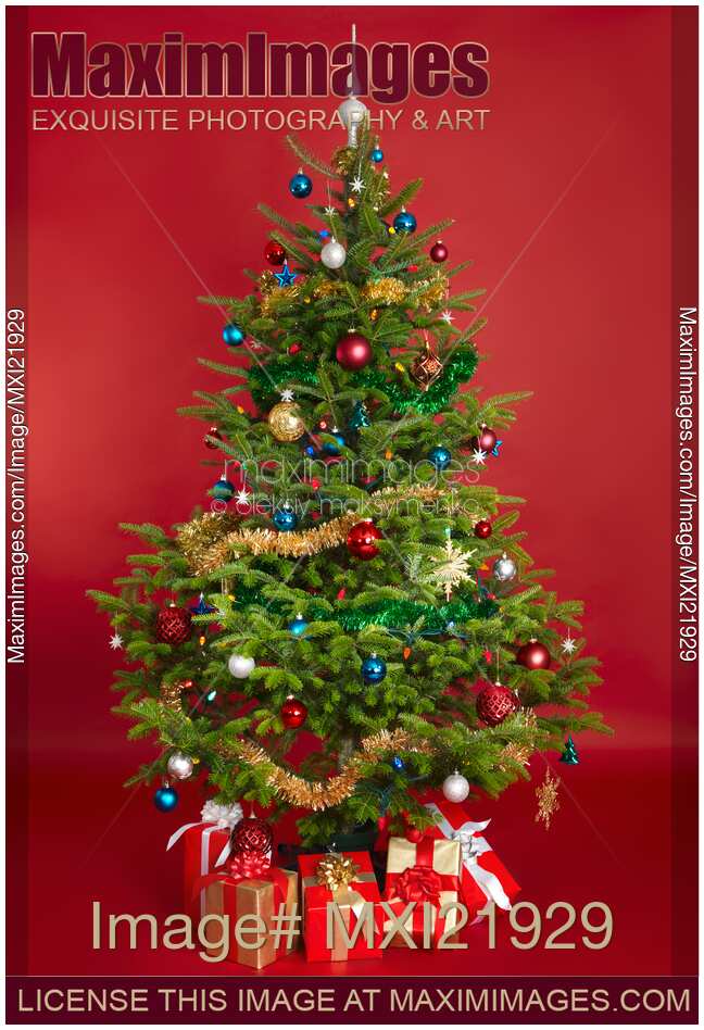 Decorated Christmas Tree