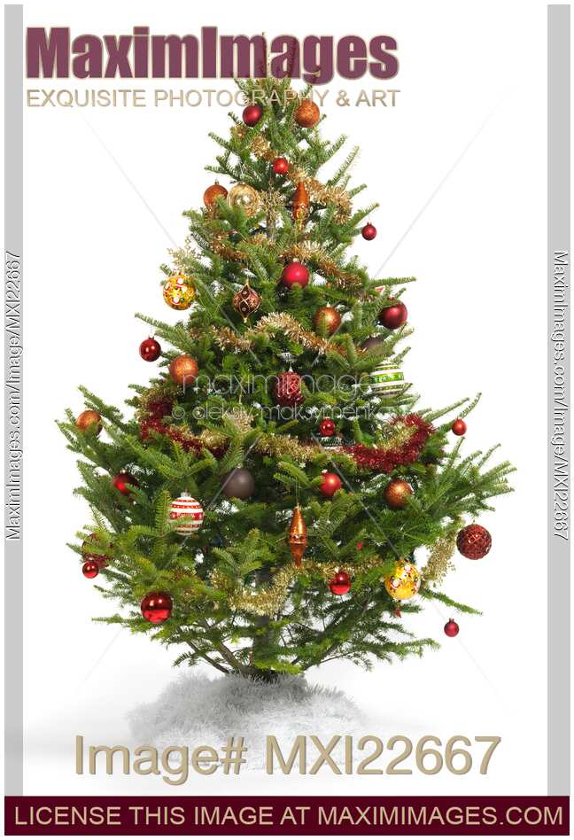Decorated Christmas Tree
