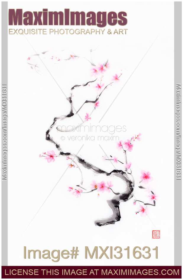 Delicate curvy cherry blossom branch with gentle pink blossoms sumi-e artwork