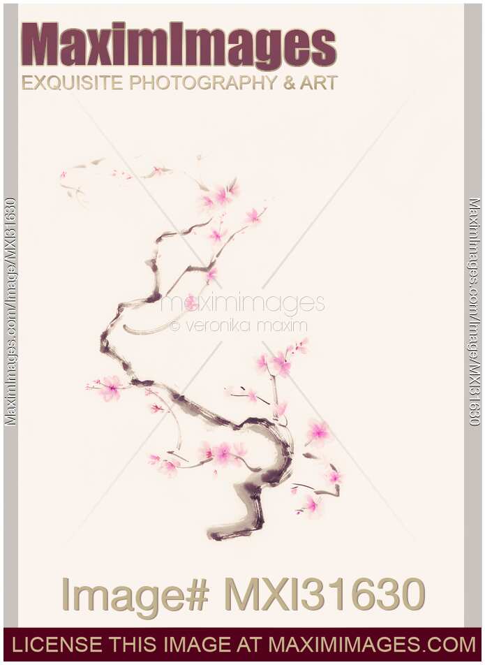 Delicate curvy sakura branch with gentle pink blossoms sumi-e artwork