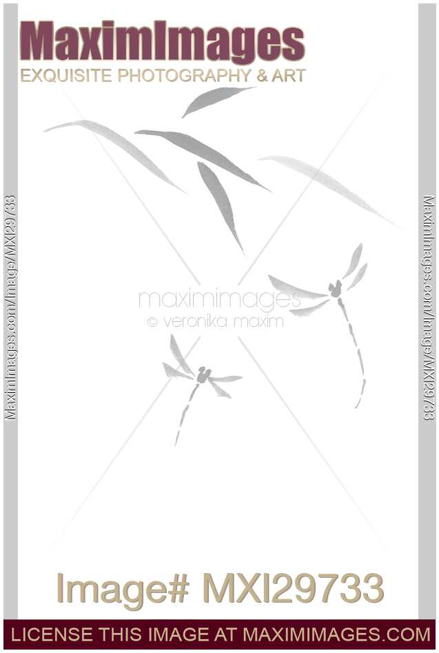 Delicate design Dragonflies and leaves Asian style Zen illustration on white background