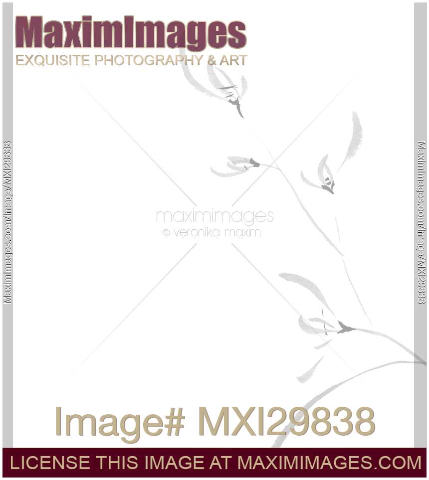 Delicate floral design Flowers of wild orchids Asian style Zen illustration on white