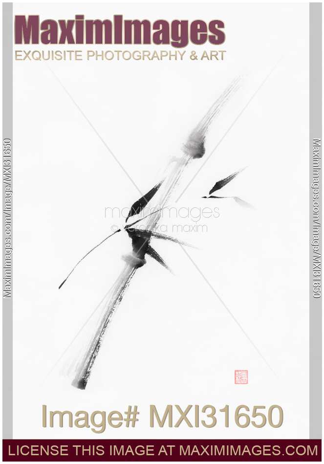 Delicate sumi-e black ink painting of a bamboo branch with leaves