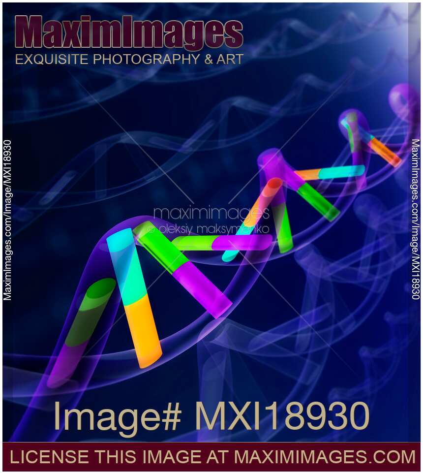 DNA sequence