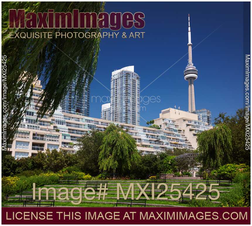 Downtown Toronto Queens Quay luxury condos and CN tower