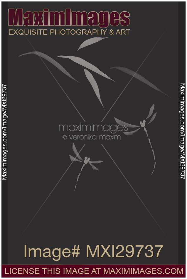 Dragonflies elegant Zen art design in modern contrast colors on black background