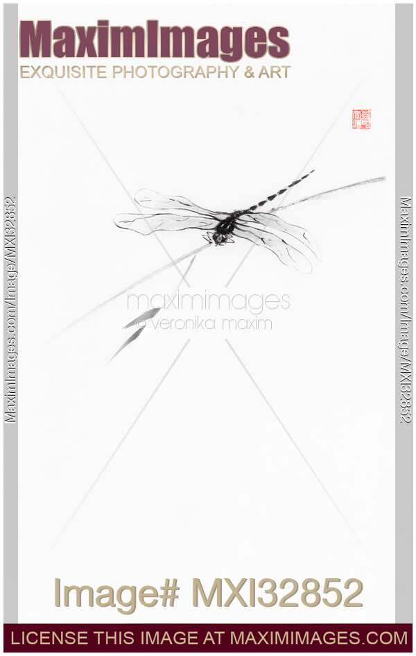 Dragonfly on a bamboo branch Minimalist fine art Zen sumi-e painting on white