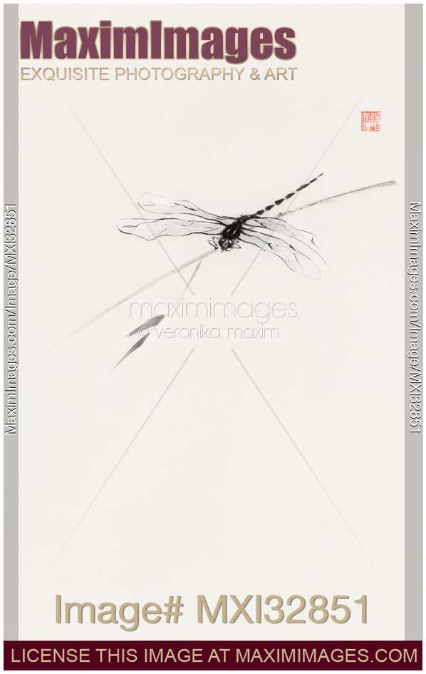 Dragonfly on a bamboo branch Minimalist fine art Zen sumi-e painting