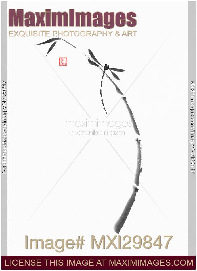 Dragonfly sitting on bamboo stalk Japanese Zen Sumi-e painting on white rice paper