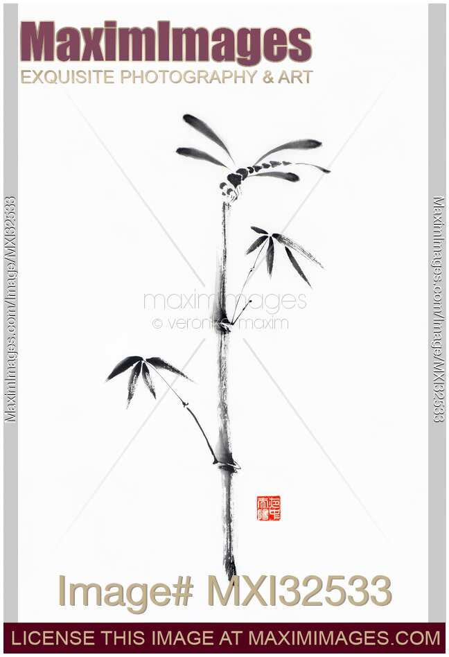 Dragonfly sitting on top of a bamboo stalk sumi-e ink painting