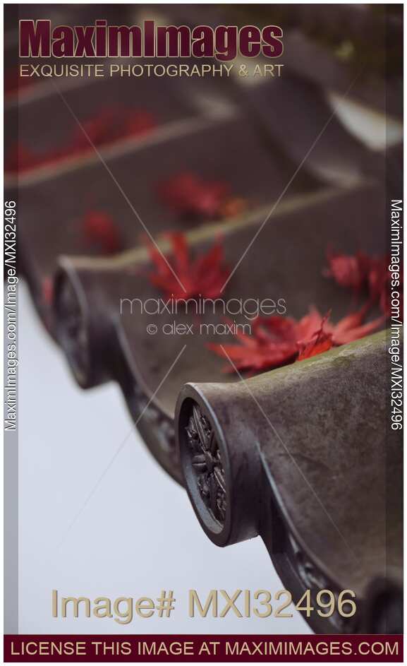 Dreamy closeup of Japanese temple roof eaves with red fallen maple leaves Clay roofing tiles