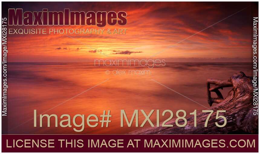 Driftwood in dark red dramatic sunset panoramic scenery over lake Huron