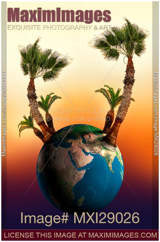 Earth Globe with Palm Trees Growing on It