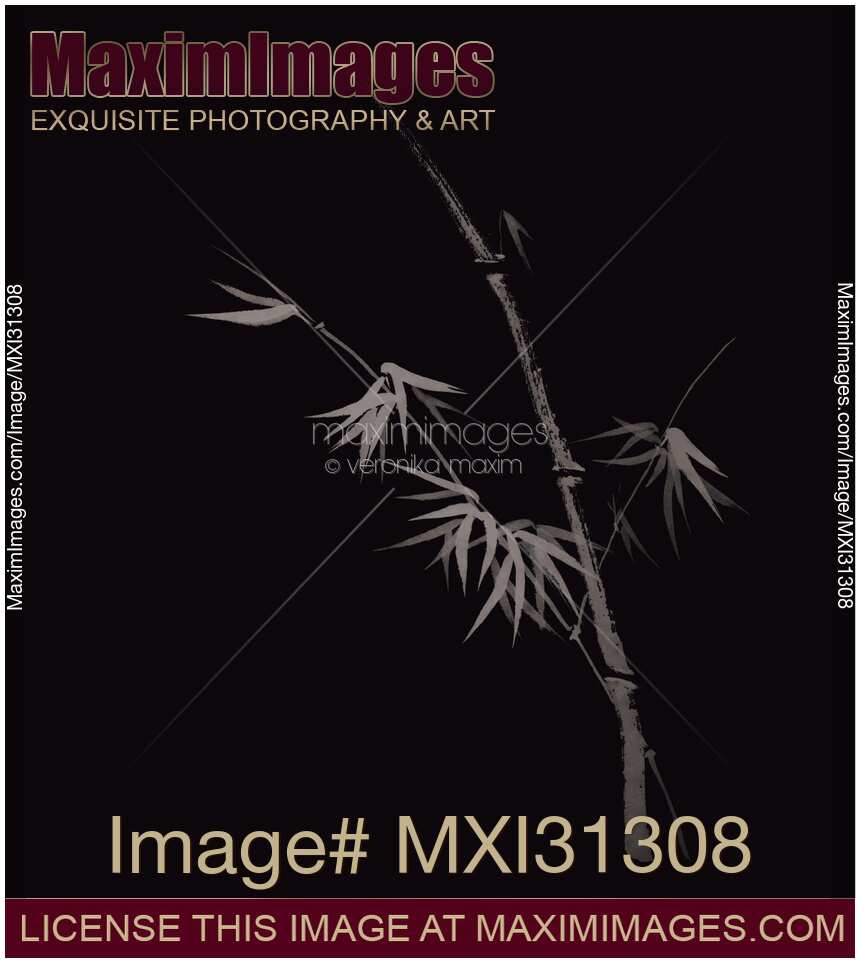 Elegant bamboo stalk with leaves Japanese Zen art design on black