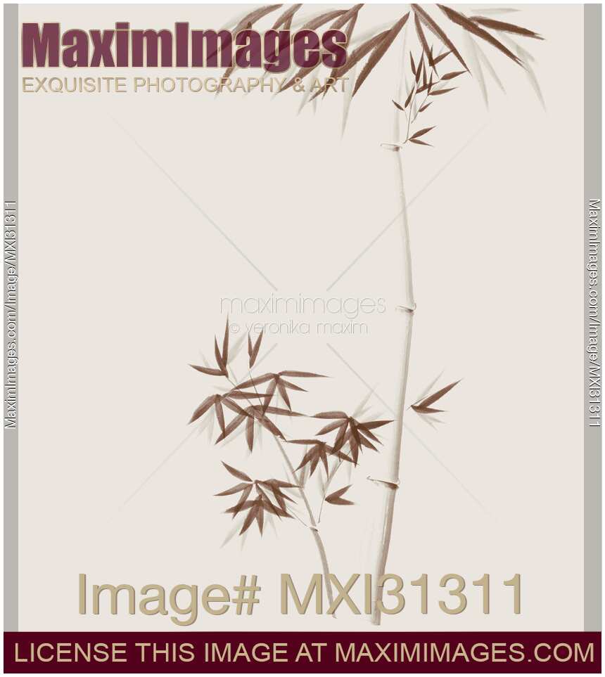 Elegant bamboo stalks with leaves Zen Sumi-e style illustration brown on beige background