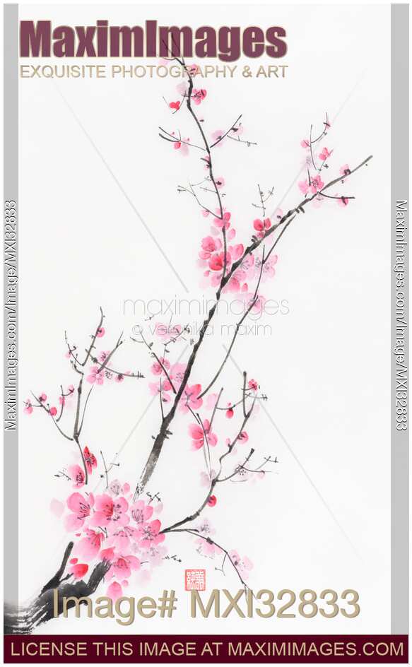 Elegant branch of cherry blossom with pink flowers on white Oriental sumi-e painting