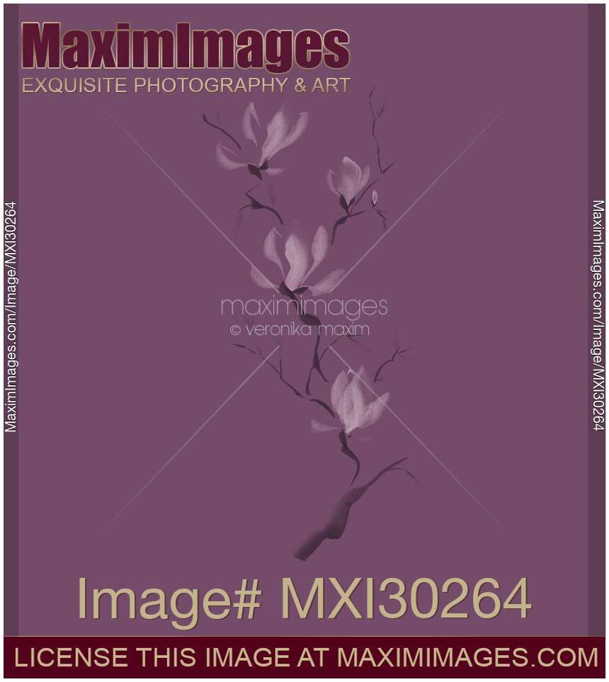 Elegant branch of pink magnolia flowers artistic design on purple background