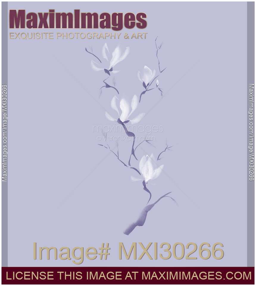 Elegant branch of white magnolia flowers artistic design on light violet background