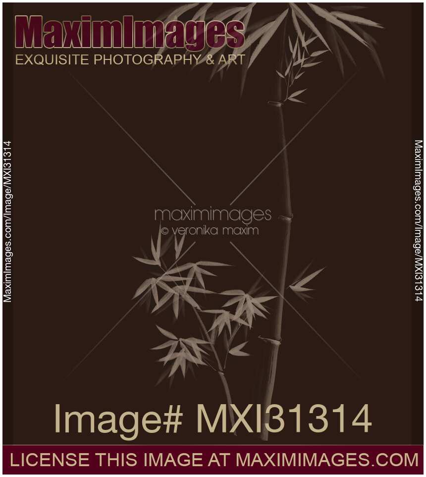 Elegant brown Zen design art of Bamboo stalks with leaves
