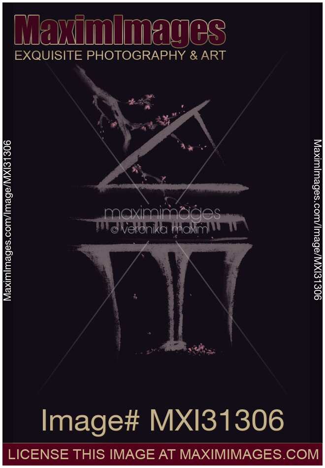 Elegant illustration of a Grand piano with a branch of sakura blossoms on black