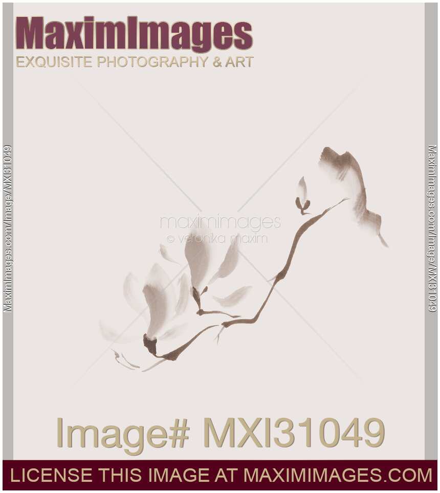 Elegant magnolia branch Japanese Zen floral illustration on light beige background