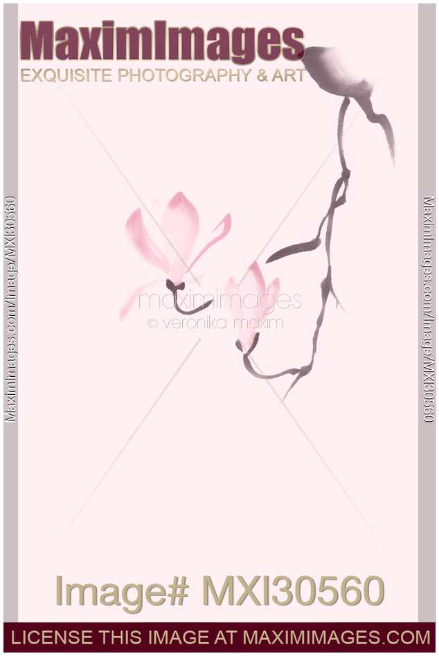 Elegant magnolia branch with two pink flowers artistic Zen style illustration design