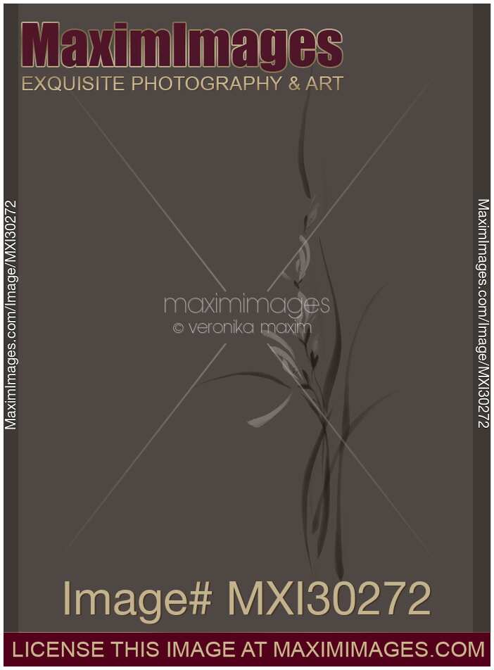 Elegant orchid flowers artistic floral design on warm gray background