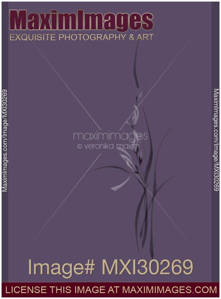 Elegant orchid flowers artistic intricate floral design on purple background